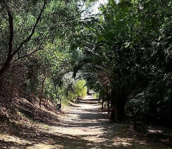 公寓 The Bridge-house